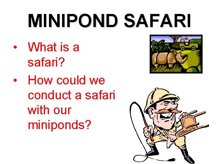 MINIPOND SAFARI • What is a safari? • How could we conduct a safari