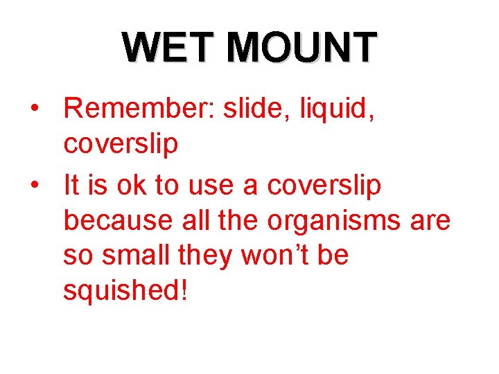 WET MOUNT • Remember: slide, liquid, coverslip • It is ok to use a