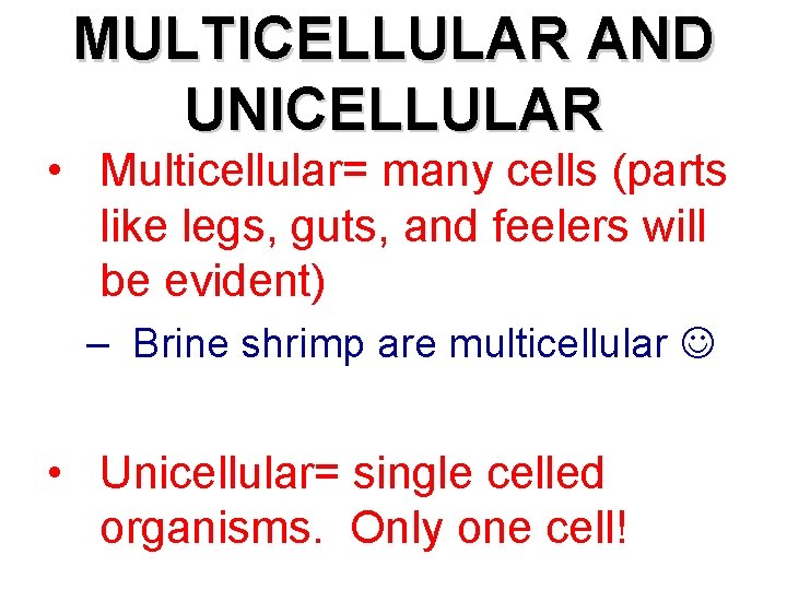 MULTICELLULAR AND UNICELLULAR • Multicellular= many cells (parts like legs, guts, and feelers will