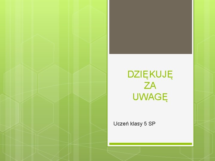 DZIĘKUJĘ ZA UWAGĘ Uczeń klasy 5 SP 