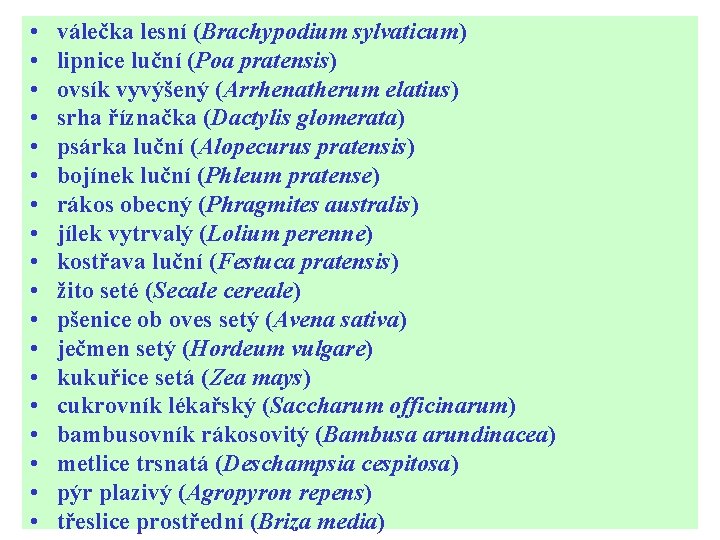  • • • • • válečka lesní (Brachypodium sylvaticum) lipnice luční (Poa pratensis)