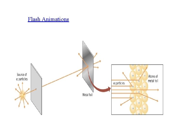 Flash Animations 