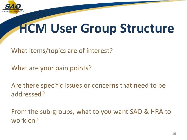 HCM User Group Structure What items/topics are of interest? What are your pain points?