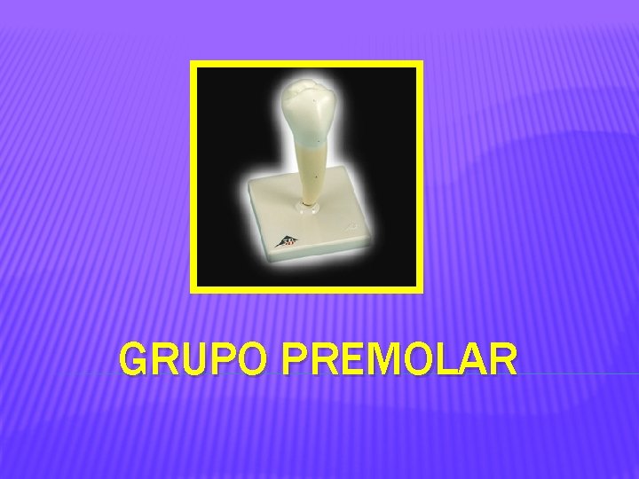 GRUPO PREMOLAR 