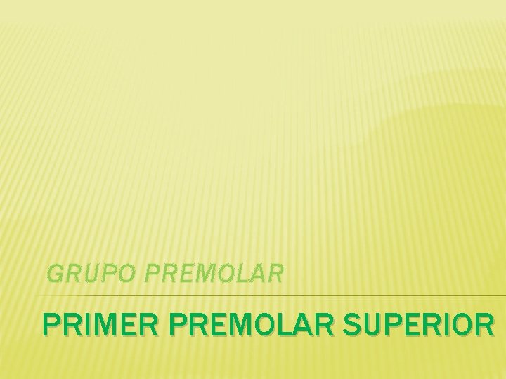 GRUPO PREMOLAR PRIMER PREMOLAR SUPERIOR 