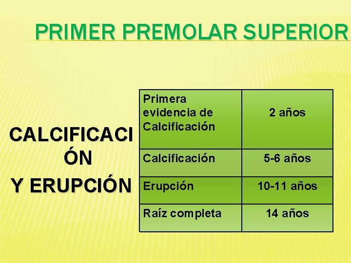 PRIMER PREMOLAR SUPERIOR CALCIFICACI ÓN Y ERUPCIÓN Primera evidencia de Calcificación 2 años Calcificación