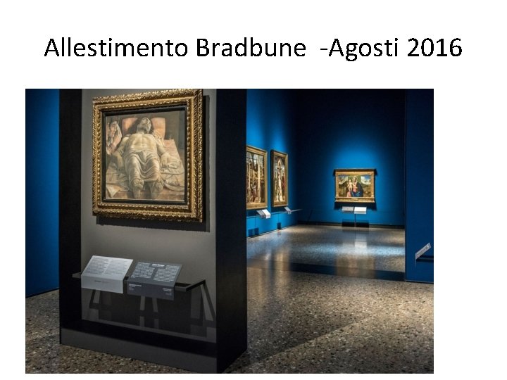 Allestimento Bradbune -Agosti 2016 