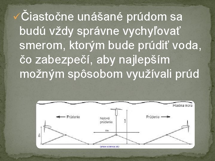 üČiastočne unášané prúdom sa budú vždy správne vychyľovať smerom, ktorým bude prúdiť voda, čo