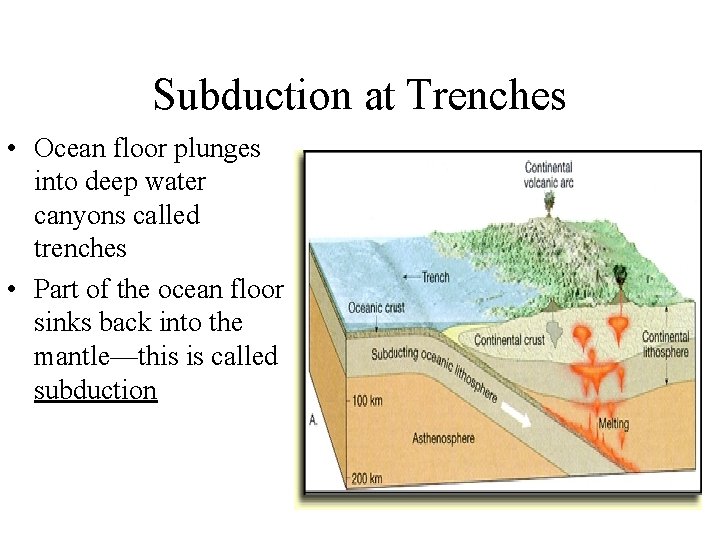 Subduction at Trenches • Ocean floor plunges into deep water canyons called trenches •