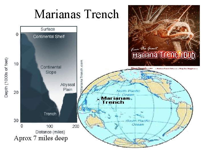 Marianas Trench Aprox 7 miles deep 