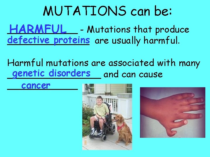 MUTATIONS can be: ______ HARMFUL - Mutations that produce defective proteins are usually harmful.