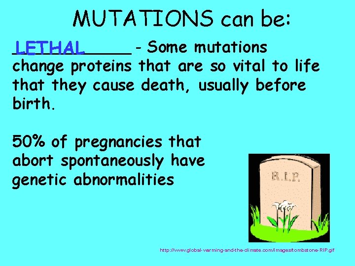 MUTATIONS can be: ______ - Some mutations LETHAL change proteins that are so vital