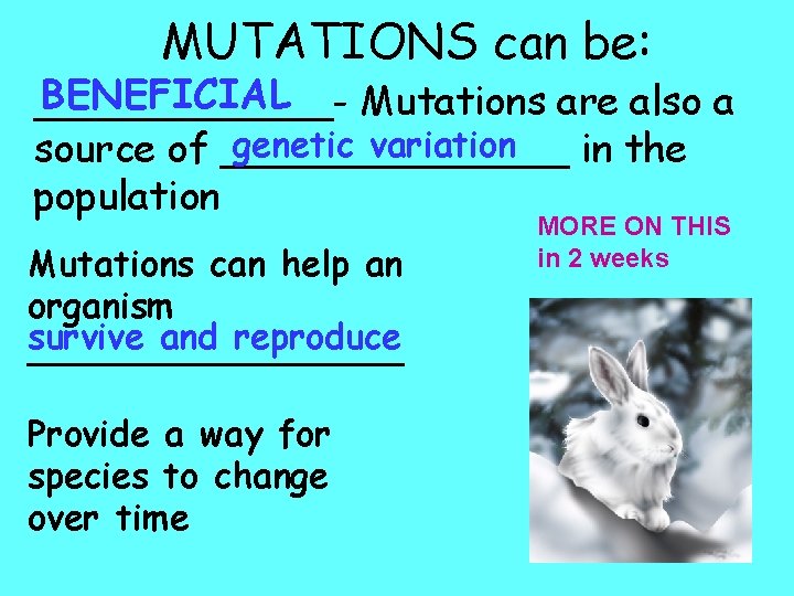 MUTATIONS can be: BENEFICIAL ______Mutations are also a genetic variation source of _______ in