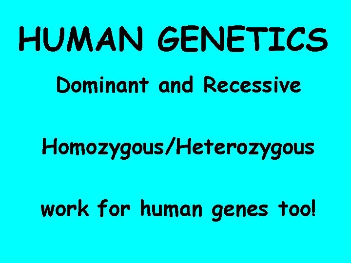 HUMAN GENETICS Dominant and Recessive Homozygous/Heterozygous work for human genes too! 