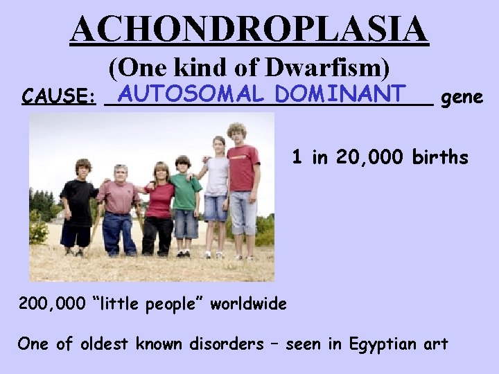 ACHONDROPLASIA (One kind of Dwarfism) AUTOSOMAL DOMINANT CAUSE: ______________ gene 1 in 20, 000