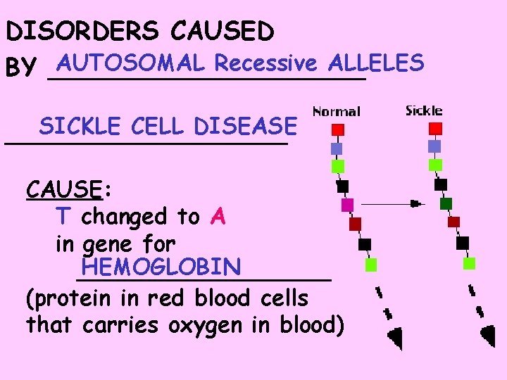 DISORDERS CAUSED AUTOSOMAL Recessive ALLELES BY __________ SICKLE CELL DISEASE __________ CAUSE: T changed