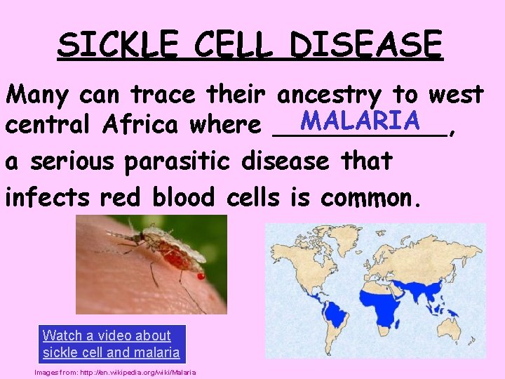 SICKLE CELL DISEASE Many can trace their ancestry to west MALARIA central Africa where