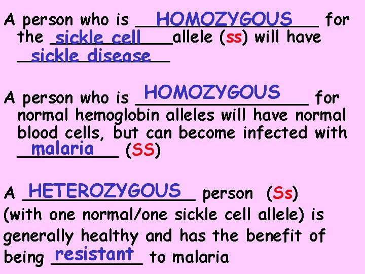 A person who is _________ for HOMOZYGOUS the ______allele (ss) will have sickle cell