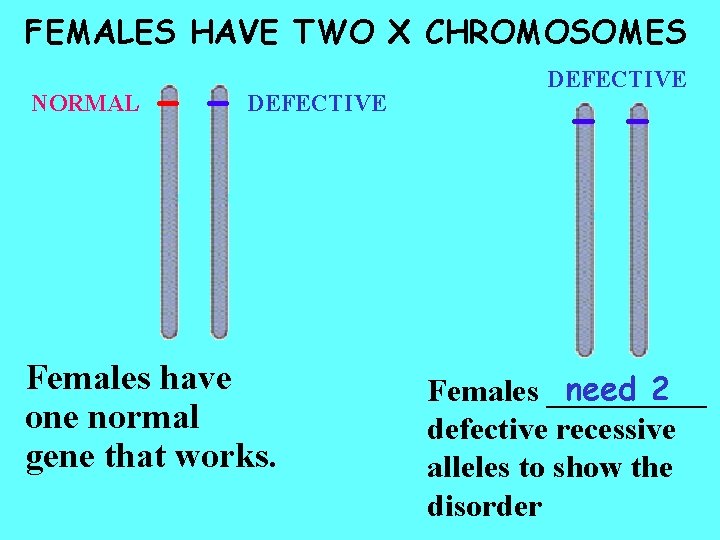 FEMALES HAVE TWO X CHROMOSOMES NORMAL DEFECTIVE Females have one normal gene that works.