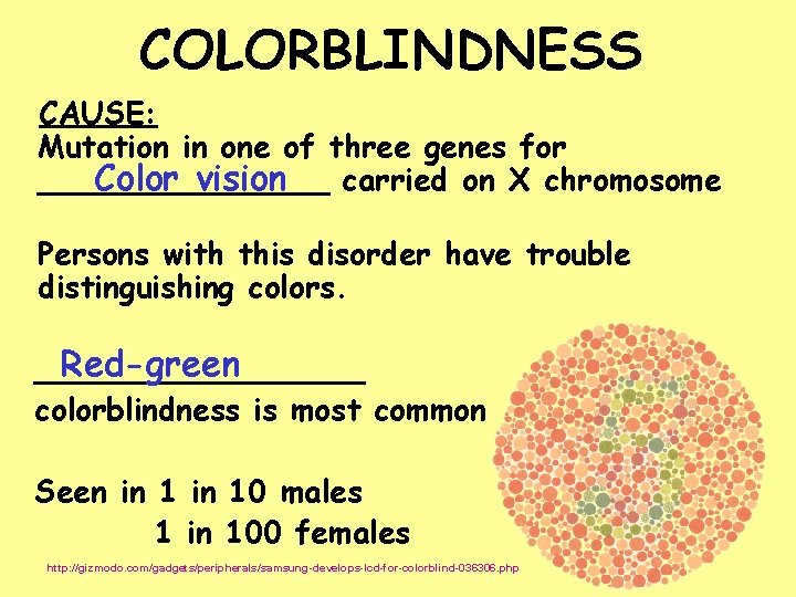 COLORBLINDNESS CAUSE: Mutation in one of three genes for Color vision ________ carried on