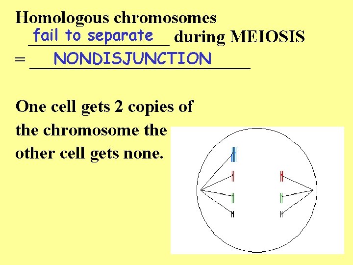 Homologous chromosomes fail to separate during MEIOSIS ________ NONDISJUNCTION = _____________ One cell gets