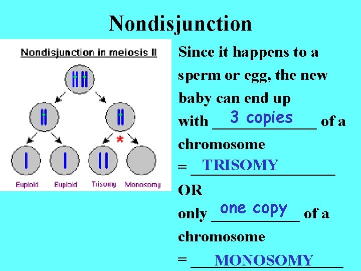 Nondisjunction Since it happens to a sperm or egg, the new baby can end