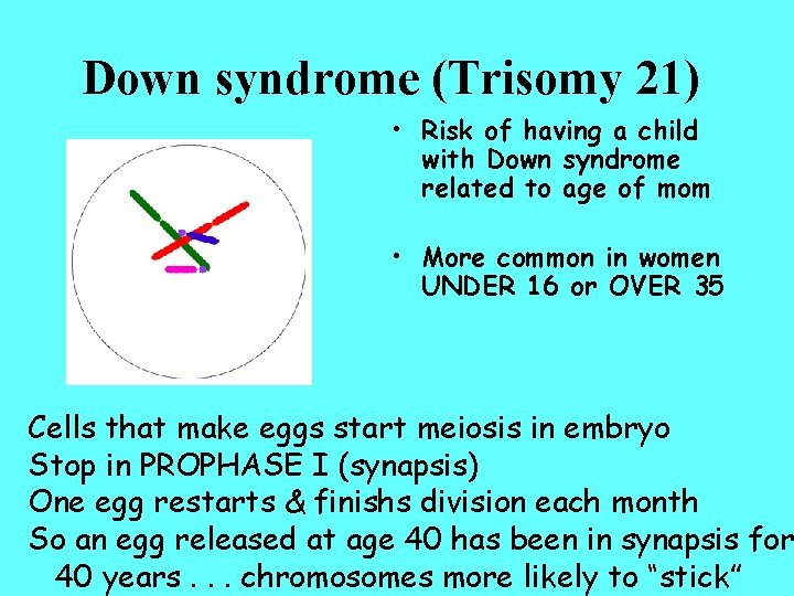 Down syndrome (Trisomy 21) • Risk of having a child with Down syndrome related