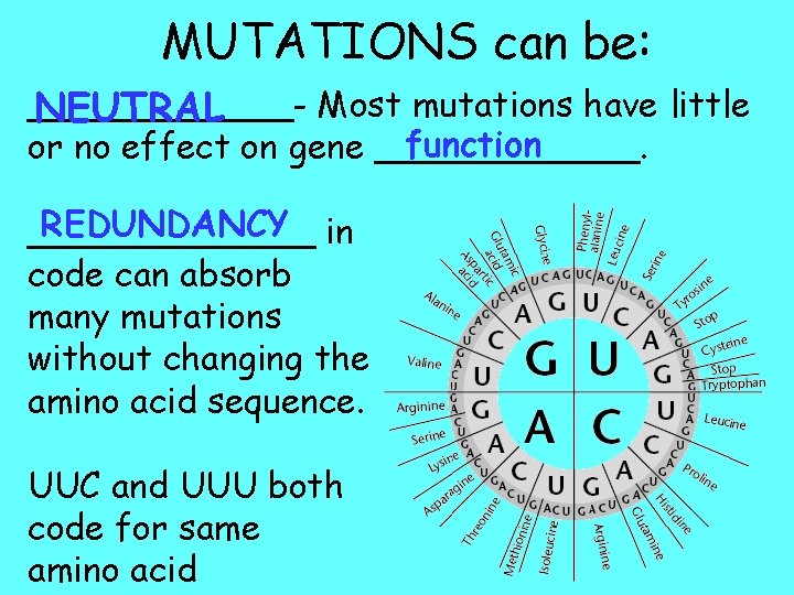 MUTATIONS can be: ______Most mutations have little NEUTRAL function or no effect on gene