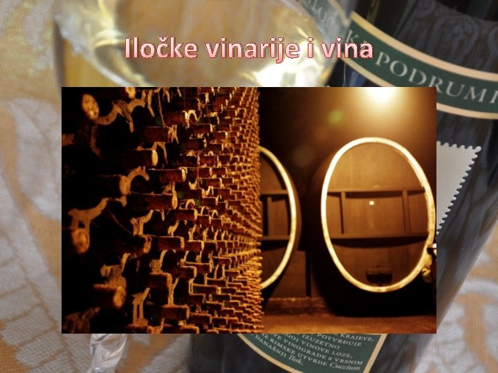 Iločke vinarije i vina 