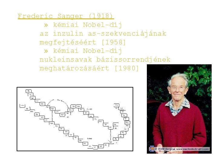 Frederic Sanger (1918) » kémiai Nobel-díj az inzulin as-szekvenciájának megfejtéséért [1958] » kémiai Nobel-díj
