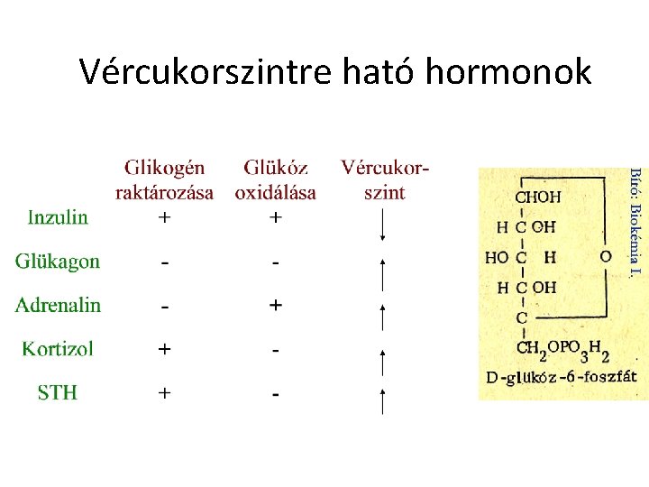 Vércukorszintre ható hormonok 