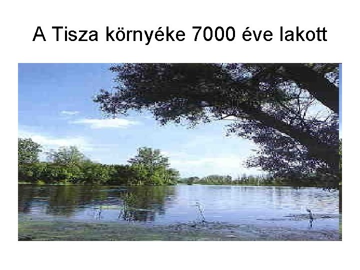 A Tisza környéke 7000 éve lakott 