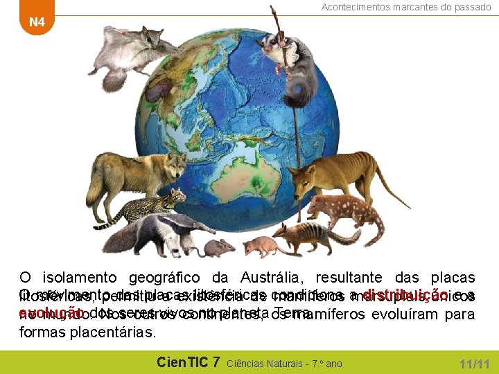 Acontecimentos marcantes do passado N 4 O isolamento geográfico da Austrália, resultante das placas