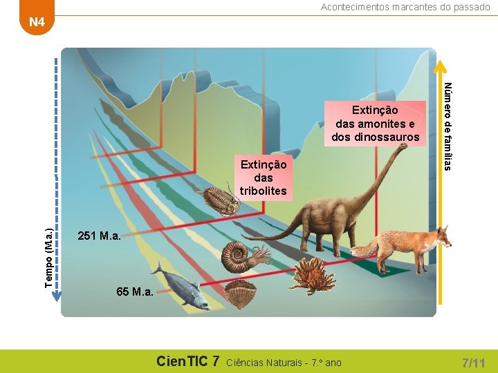 Acontecimentos marcantes do passado N 4 Tempo (M. a. ) Extinção das tribolites Número