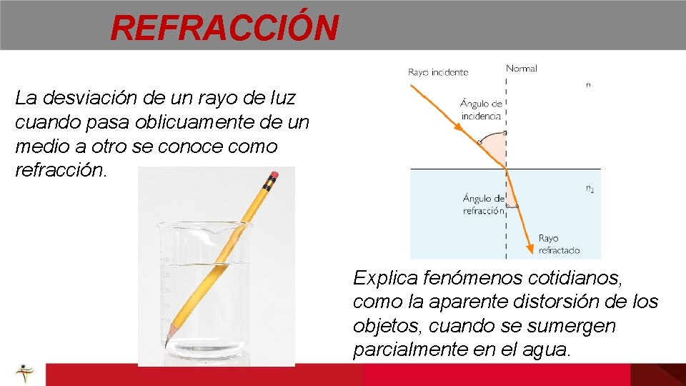 REFRACCIÓN La desviación de un rayo de luz cuando pasa oblicuamente de un medio