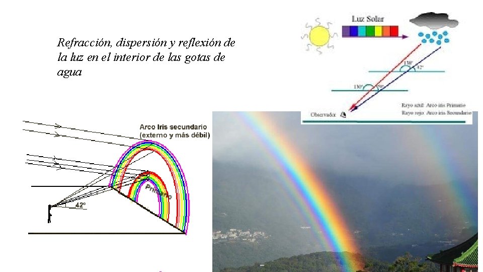 Refracción, dispersión y reflexión de la luz en el interior de las gotas de