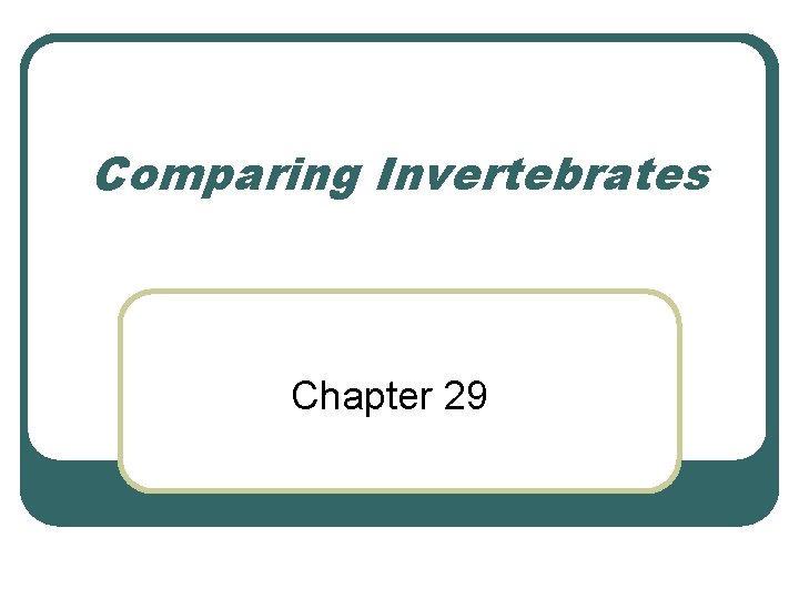 Comparing Invertebrates Chapter 29 