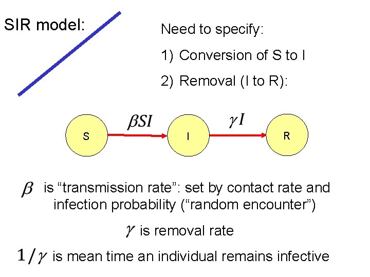 SIR model: Need to specify: 1) Conversion of S to I 2) Removal (I