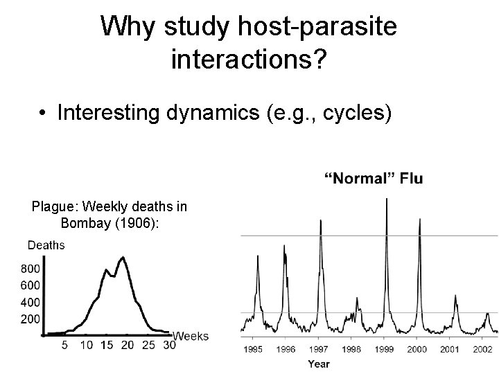 Why study host-parasite interactions? • Interesting dynamics (e. g. , cycles) Plague: Weekly deaths