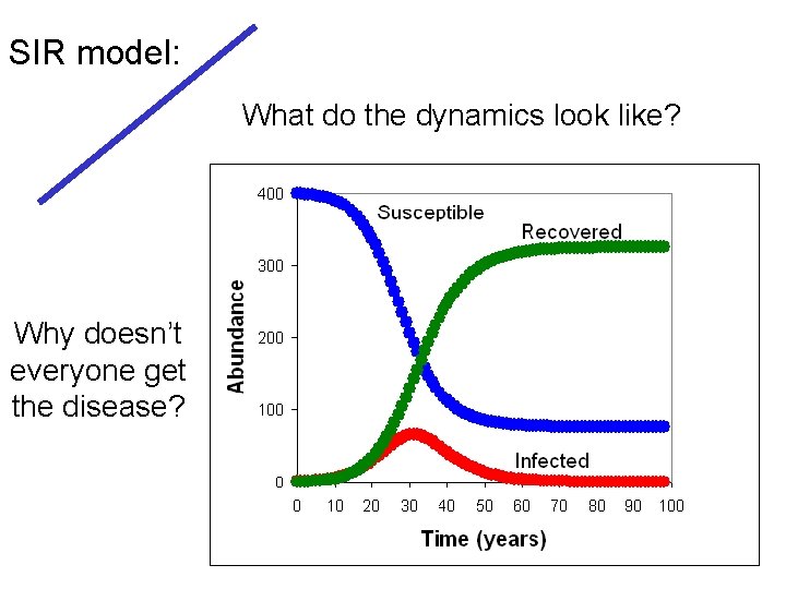SIR model: What do the dynamics look like? Why doesn’t everyone get the disease?