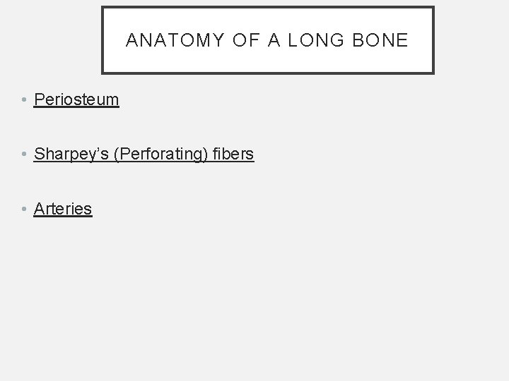 ANATOMY OF A LONG BONE • Periosteum • Sharpey’s (Perforating) fibers • Arteries ANATOMY OF A LONG BONE • Periosteum • Sharpey’s (Perforating) fibers • Arteries
