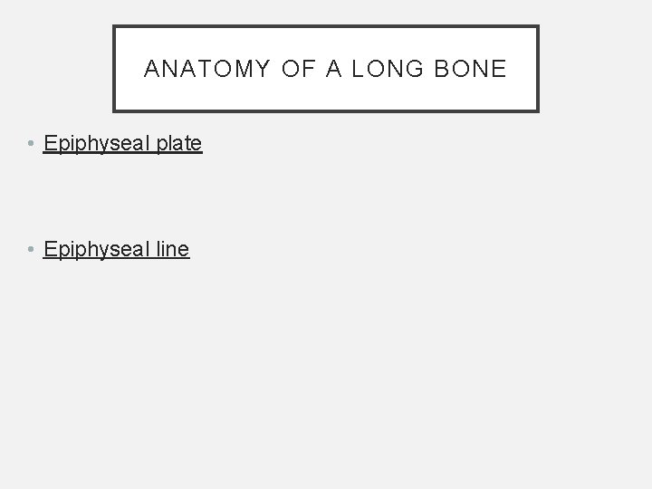 ANATOMY OF A LONG BONE • Epiphyseal plate • Epiphyseal line ANATOMY OF A LONG BONE • Epiphyseal plate • Epiphyseal line