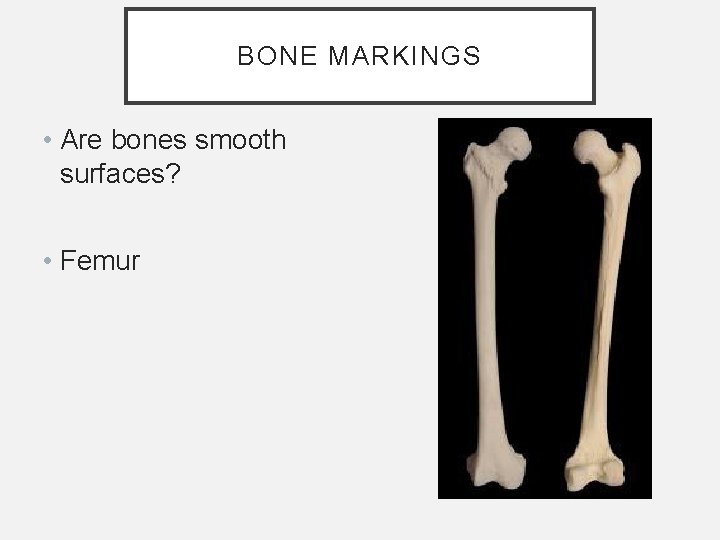 BONE MARKINGS • Are bones smooth surfaces? • Femur BONE MARKINGS • Are bones smooth surfaces? • Femur