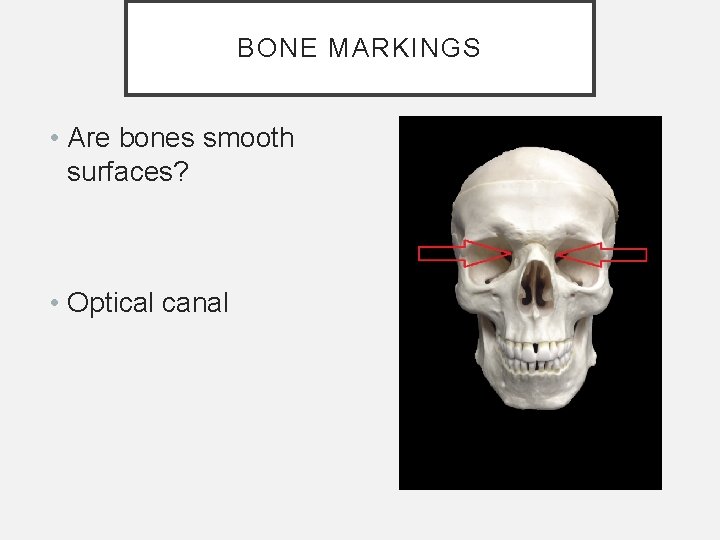 BONE MARKINGS • Are bones smooth surfaces? • Optical canal BONE MARKINGS • Are bones smooth surfaces? • Optical canal