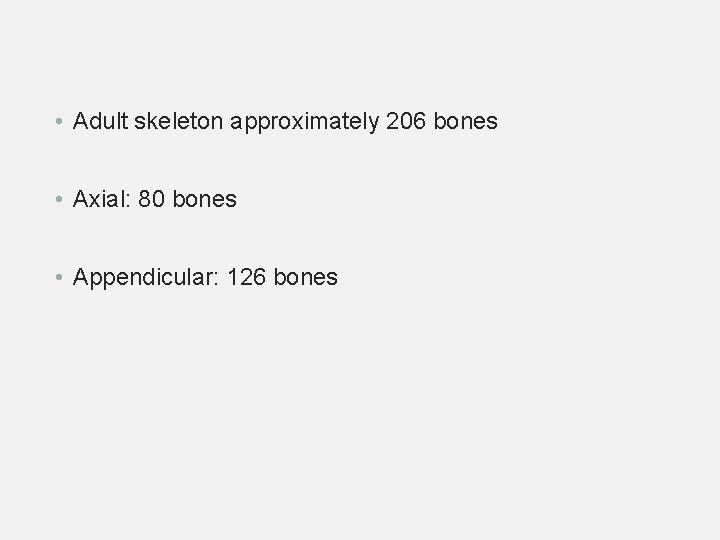 • Adult skeleton approximately 206 bones • Axial: 80 bones • Appendicular: 126 • Adult skeleton approximately 206 bones • Axial: 80 bones • Appendicular: 126
