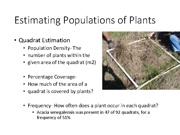 Estimating Populations of Plants • Quadrat Estimation • Population Density- The • number of