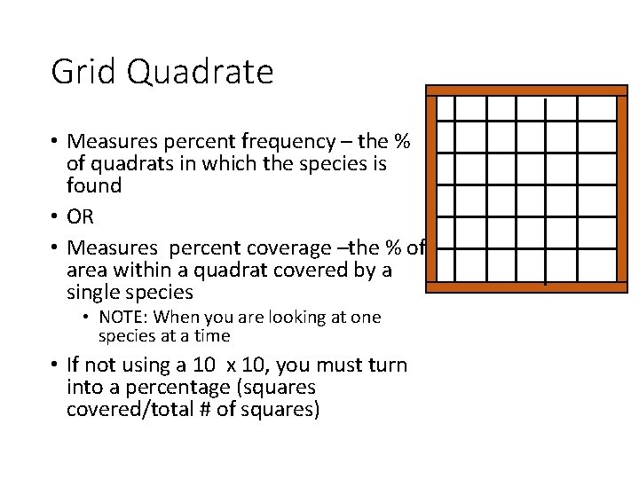 Grid Quadrate • Measures percent frequency – the % of quadrats in which the