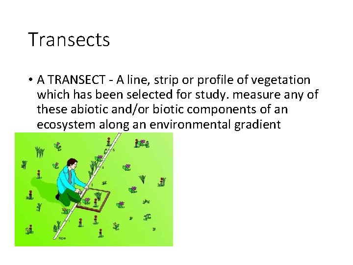 Transects • A TRANSECT - A line, strip or profile of vegetation which has