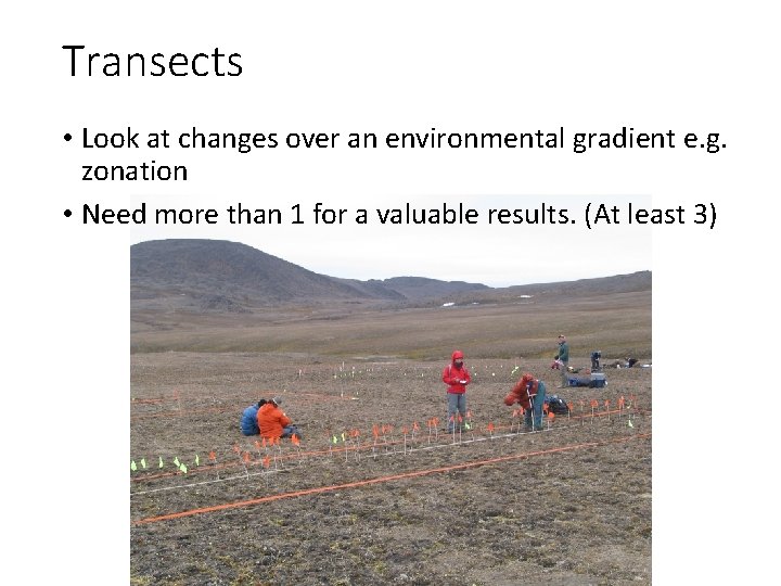 Transects • Look at changes over an environmental gradient e. g. zonation • Need