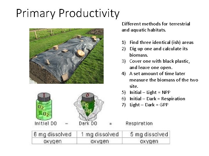 Primary Productivity Different methods for terrestrial and aquatic habitats. 1) Find three identical (ish)